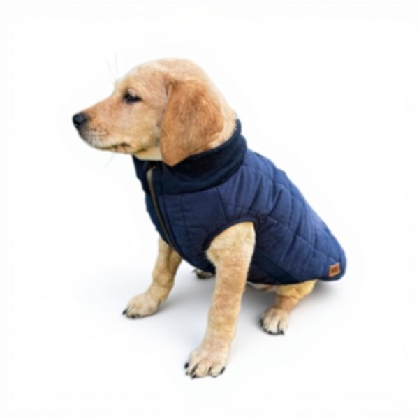 Manteau chien imperméable doublure fausse fourrure Danish