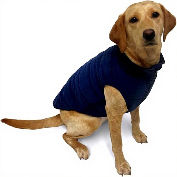 Manteau chien imperméable doublure fausse fourrure Danish