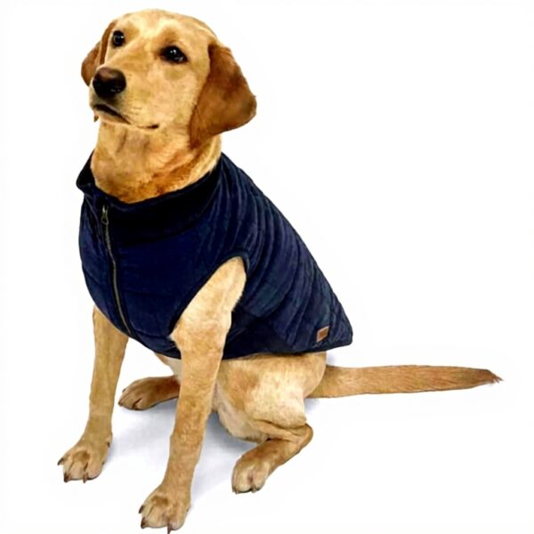 Manteau chien imperméable doublure fausse fourrure Danish