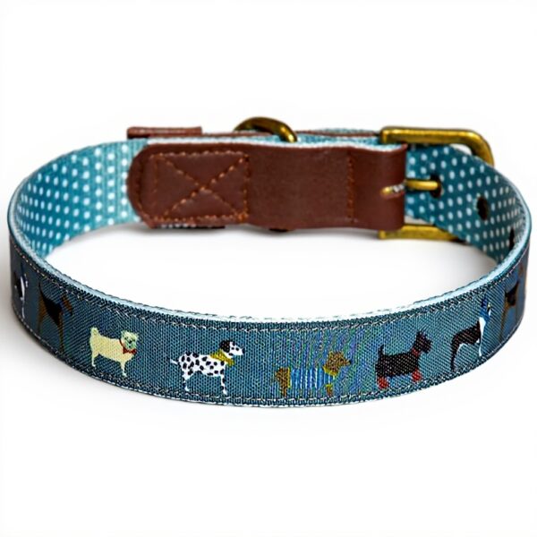 Collier chien cuir véritable Fatface boucle métal bleu