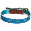 Collier chien cuir véritable Fatface boucle métal bleu