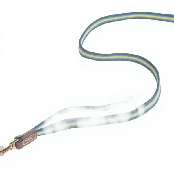 Collier chien cuir véritable Fatface rayures bleu jaune