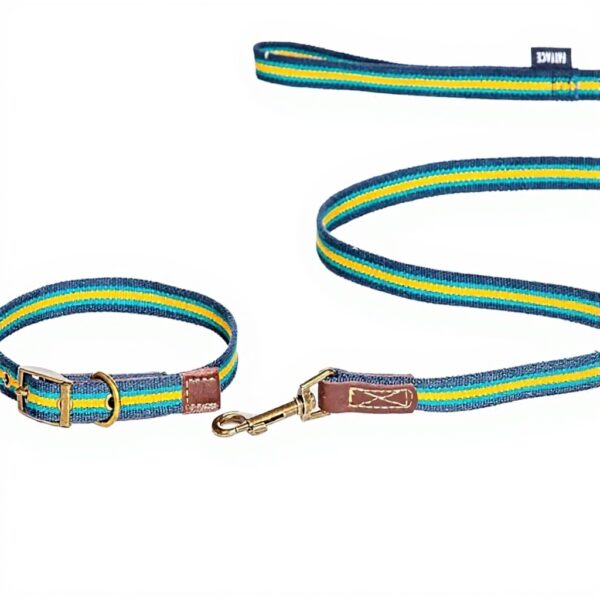 Collier chien cuir véritable Fatface rayures bleu jaune