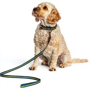 Collier chien cuir véritable Fatface rayures bleu jaune