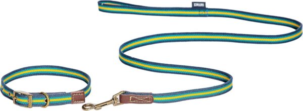 Collier chien cuir véritable rayures bleues jaunes FatFace-2