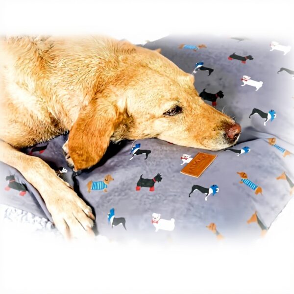 Couette pour chien FatFace Taille M Coton recyclé