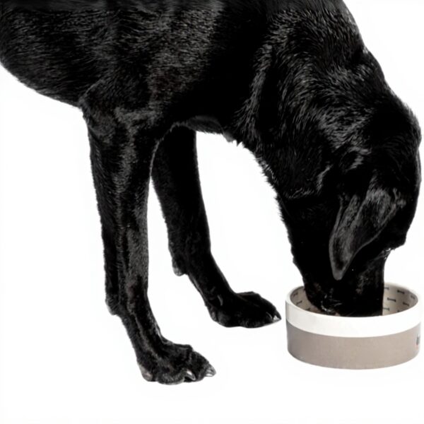 Gamelle pour chiens FatFace céramique promenade gris M