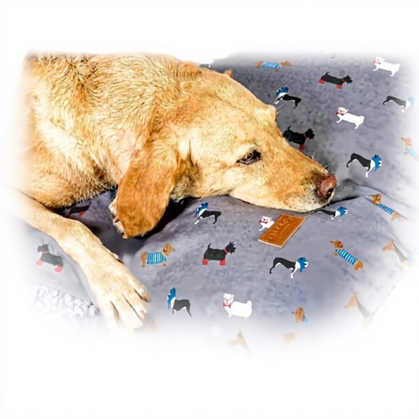 Couette pour chien FatFace Marching Dogs gris durable douce