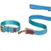 Collier chien cuir Fatface pois abeilles boucle métal bleu