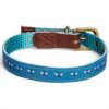 Collier chien cuir Fatface pois abeilles boucle métal bleu