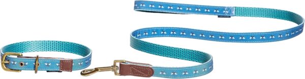 Collier chien cuir véritable Fatface Spotty Bees taille M-2