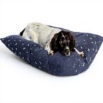 Couette pour chien FatFace Spotty Bees bleu marine taille L