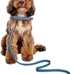 Laisse chien cuir véritable Fatface Spotty Bees boucle métal-0