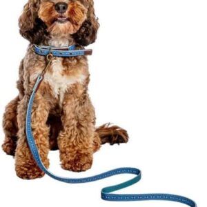 Laisse chien cuir véritable Fatface Spotty Bees boucle métal-0