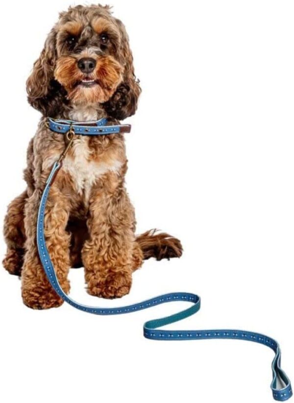 Laisse chien cuir véritable Fatface Spotty Bees boucle métal-0