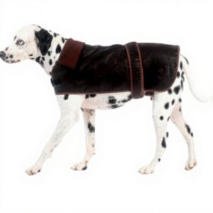 Manteau chien FatFace coton ciré doublure carreaux orange