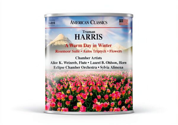 A Warm Day in Winter CD Naxos Musique Classique 1 Disque 80g-0