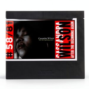 Cassandra Wilson After the Beginning Again CD Jazz Avant Garde-0