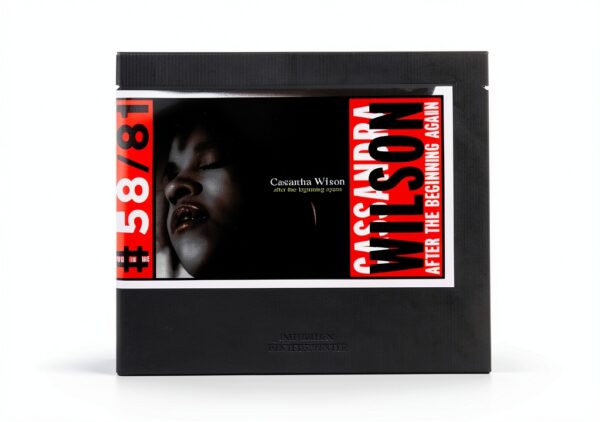 Cassandra Wilson After the Beginning Again CD Jazz Avant Garde-0