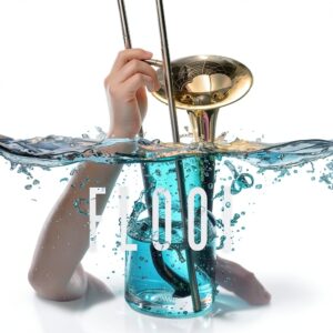 Flood CD Musique de Chambre Mvd 1 disque format compact-0